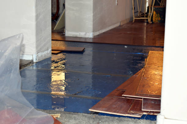 Professional Crawl Space Water Removal technician working in New Paris, OH